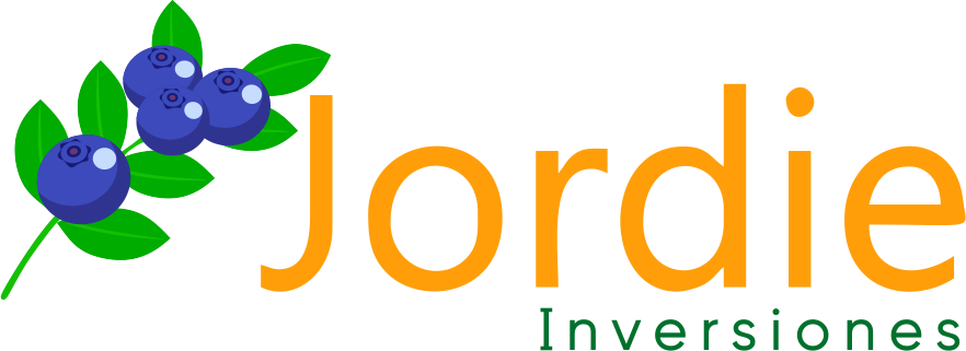 INVERSIONES JORDIE S.A. - 2025